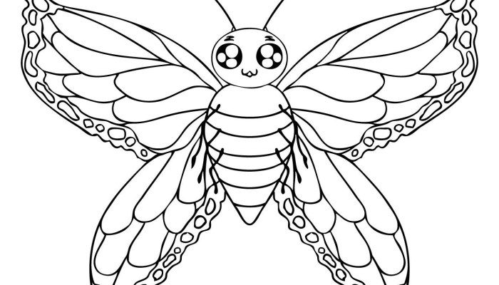 Butterfly coloring pages for kids