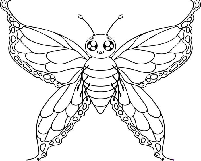 Butterfly coloring pages for kids