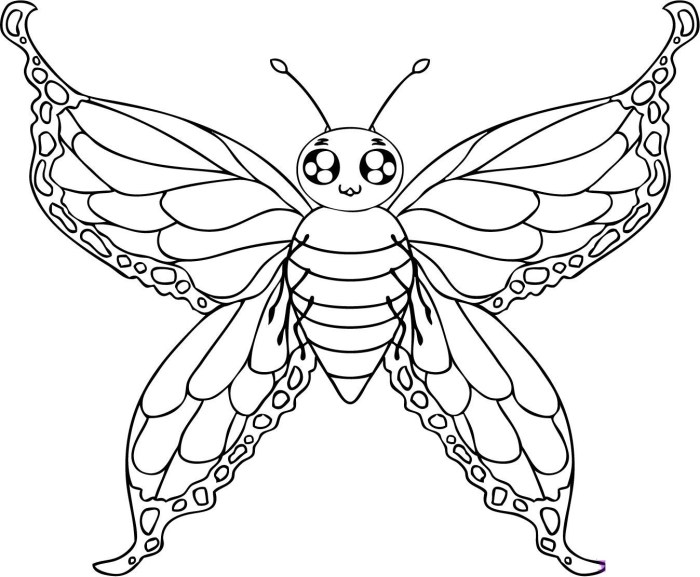 Butterfly coloring pages for kids