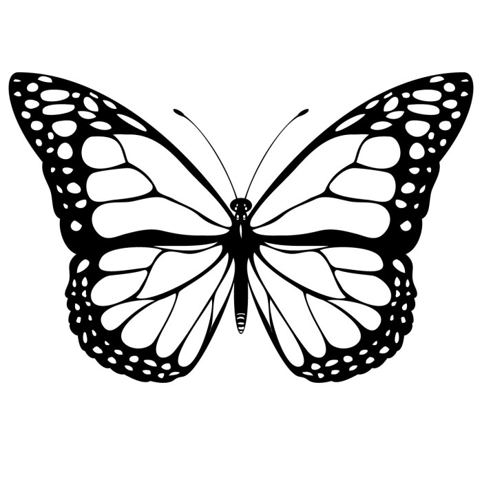 Butterfly coloring pages for kids