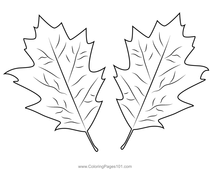 Fall coloring pages kids